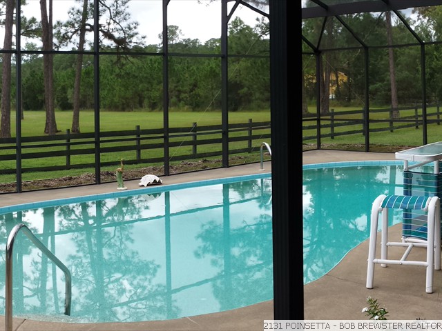 2131 POINSETTA (11)