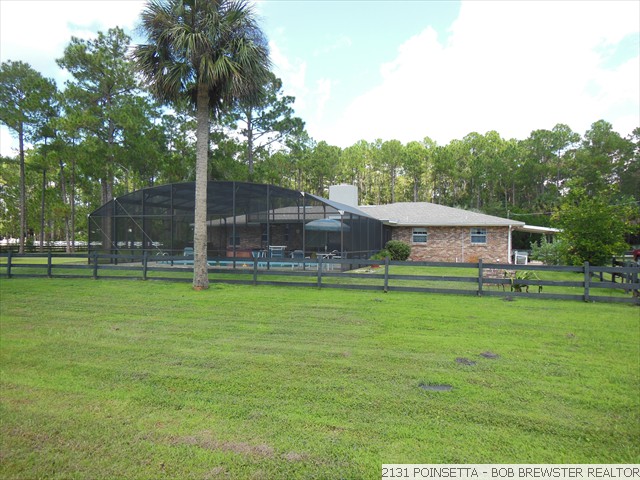 2131 POINSETTA (18)