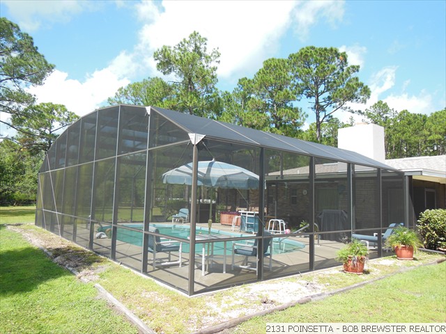 2131 POINSETTA (20)