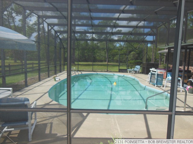 2131 POINSETTA (21)