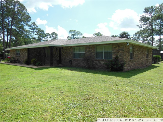 2131 POINSETTA (22)
