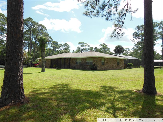 2131 POINSETTA (23)
