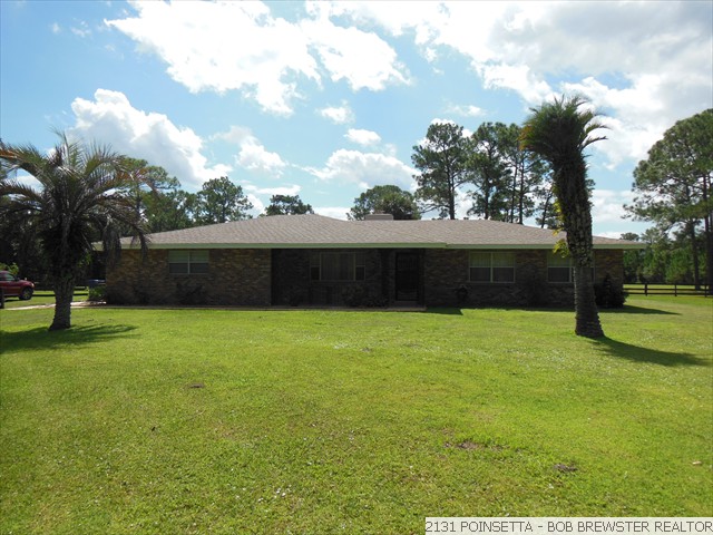 2131 POINSETTA (24)