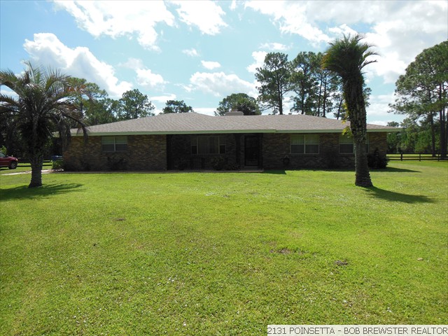 2131 POINSETTA (25)