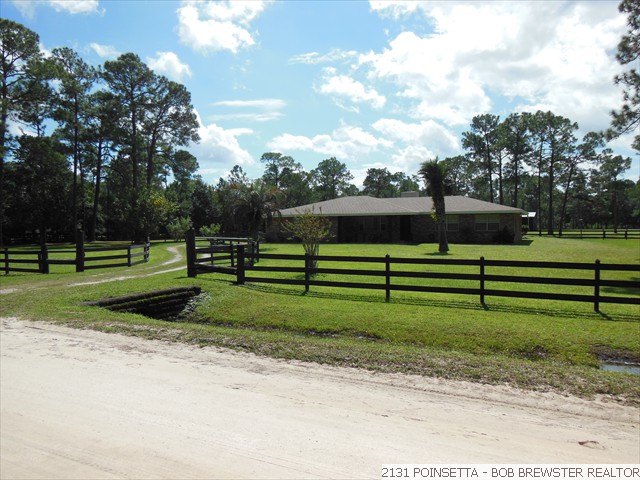 2131 POINSETTA (29)