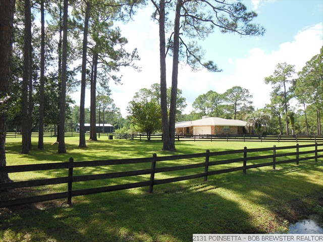 2131 POINSETTA (30)