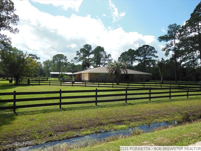 2131 POINSETTA (31)