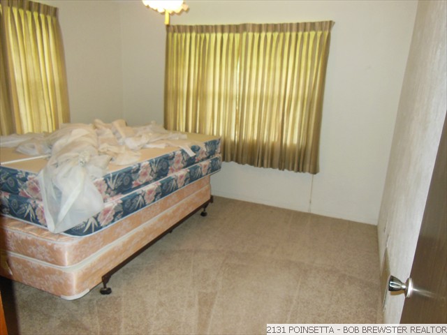 2131 POINSETTA (36)