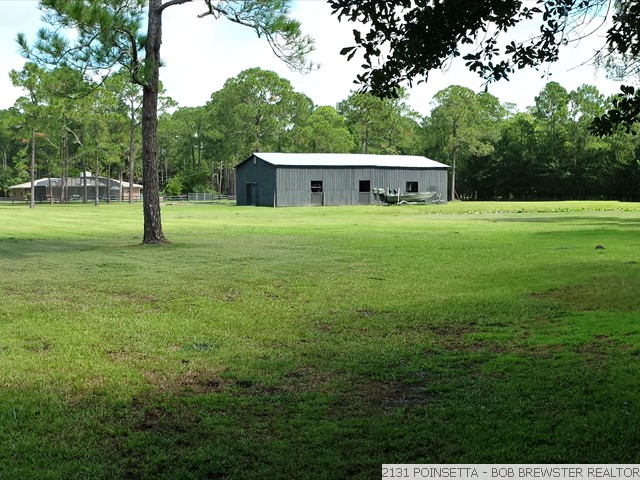 2131 POINSETTA (4)