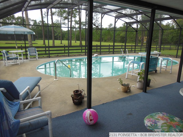 2131 POINSETTA (41)