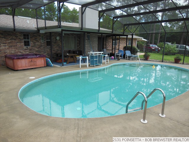 2131 POINSETTA (43)