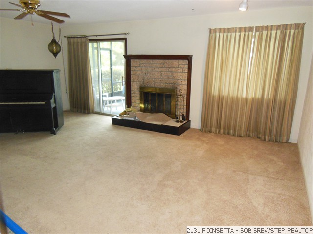 2131 POINSETTA (45)