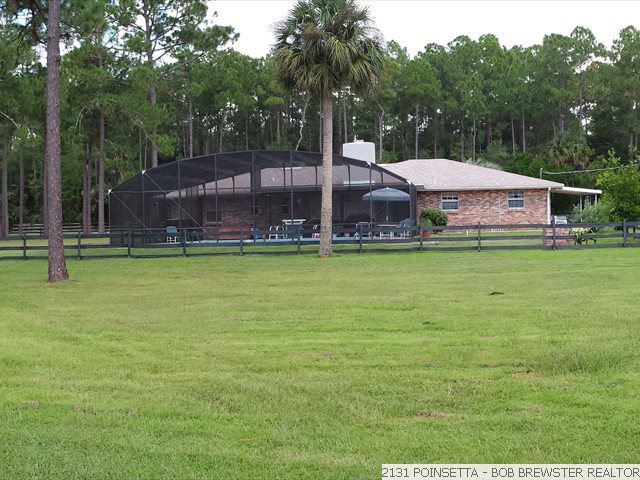 2131 POINSETTA (5)