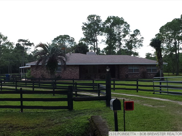 2131 POINSETTA (9)
