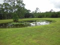 2131 POINSETTA (1)