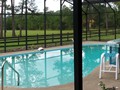 2131 POINSETTA (11)