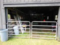 2131 POINSETTA (12)