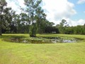 2131 POINSETTA (14)