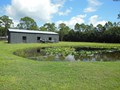 2131 POINSETTA (15)