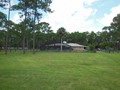 2131 POINSETTA (17)