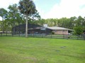 2131 POINSETTA (18)