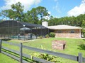 2131 POINSETTA (19)