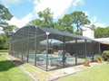 2131 POINSETTA (20)
