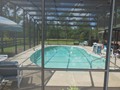 2131 POINSETTA (21)