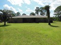 2131 POINSETTA (25)