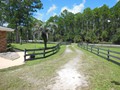 2131 POINSETTA (27)