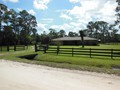 2131 POINSETTA (29)