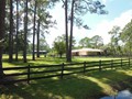 2131 POINSETTA (30)