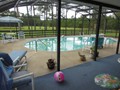 2131 POINSETTA (41)