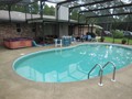 2131 POINSETTA (43)