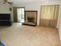 2131 POINSETTA (45)