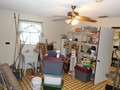 2131 POINSETTA (47)