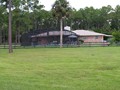 2131 POINSETTA (5)