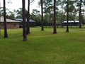2131 POINSETTA (6)