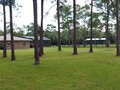 2131 POINSETTA (7)