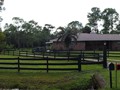 2131 POINSETTA (8)