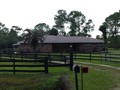 2131 POINSETTA (9)