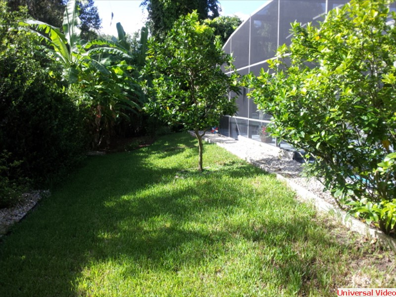 2934 NEEDLE PALM (28)
