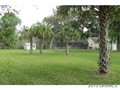 BACKYARD VIEW 2