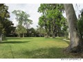 BACKYARD VIEW 3