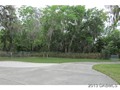 DRIVEWAY GOING OUT