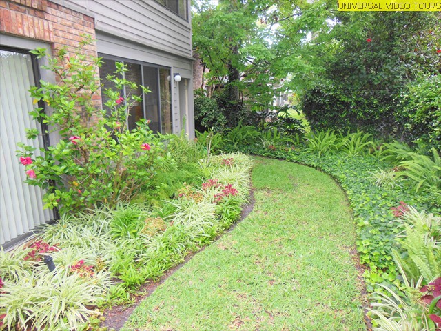 Backyard (2)