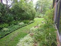 Backyard (1)