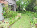 Backyard (2)