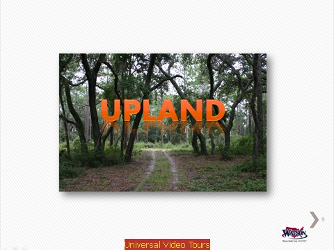 SLIDE 9