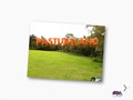 SLIDE 5